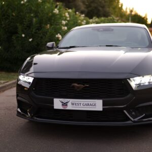 West garage negro